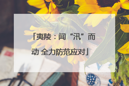 夷陵：闻“汛”而动 全力防范应对