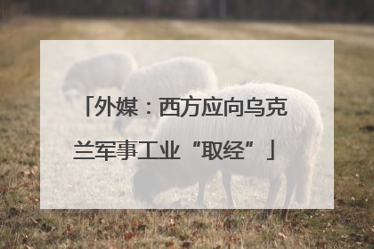 外媒：西方应向乌克兰军事工业“取经”