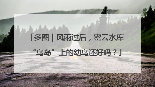 多图｜风雨过后，密云水库“鸟岛”上的幼鸟还好吗？
