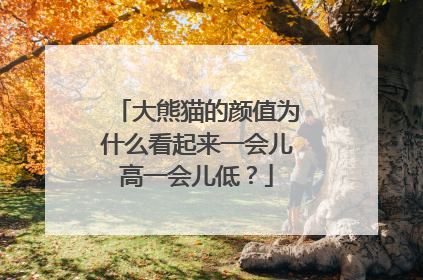 大熊猫的颜值为什么看起来一会儿高一会儿低？
