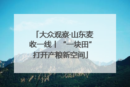 大众观察·山东麦收一线丨“一块田”打开产粮新空间