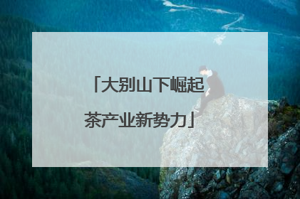 大别山下崛起茶产业新势力