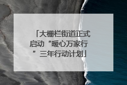 大栅栏街道正式启动“暖心万家行”三年行动计划