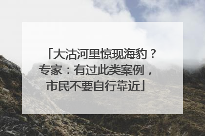 大沽河里惊现海豹？专家：有过此类案例，市民不要自行靠近