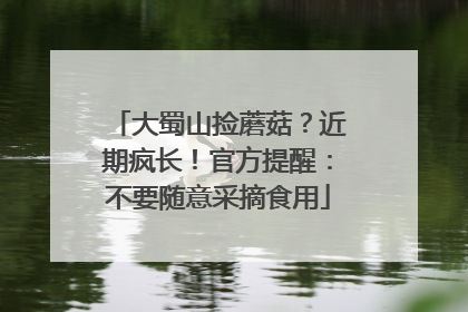 大蜀山捡蘑菇？近期疯长！官方提醒：不要随意采摘食用
