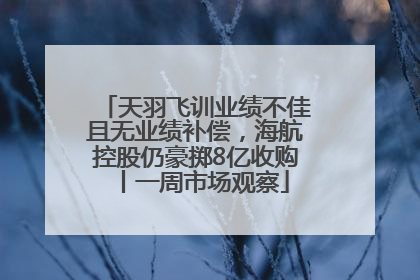 天羽飞训业绩不佳且无业绩补偿，海航控股仍豪掷8亿收购丨一周市场观察