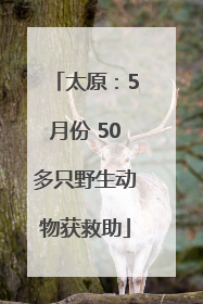 太原：5月份 50多只野生动物获救助