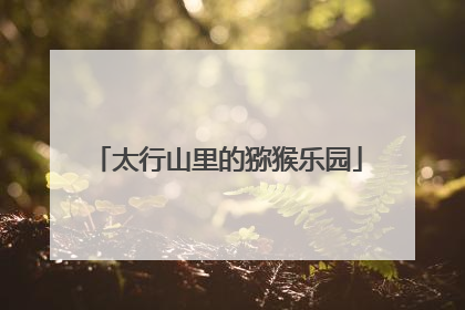 太行山里的猕猴乐园