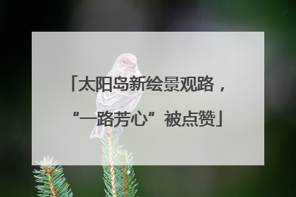 太阳岛新绘景观路，“一路芳心”被点赞