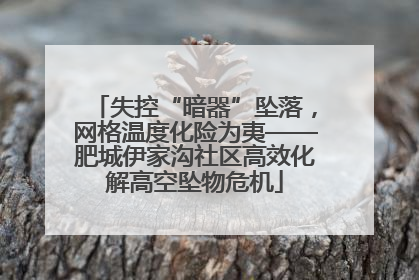 失控“暗器”坠落，网格温度化险为夷——肥城伊家沟社区高效化解高空坠物危机