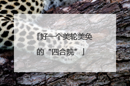好一个美轮美奂的“四合院”