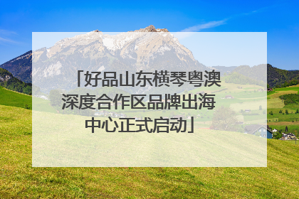 好品山东横琴粤澳深度合作区品牌出海中心正式启动