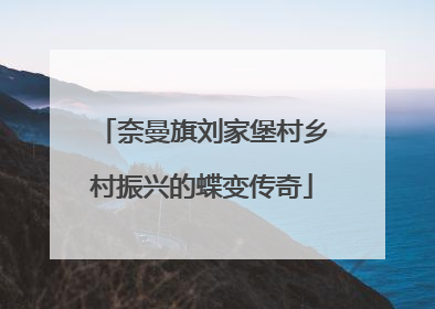 奈曼旗刘家堡村乡村振兴的蝶变传奇