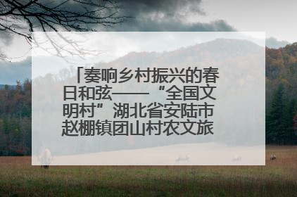 奏响乡村振兴的春日和弦——“全国文明村”湖北省安陆市赵棚镇团山村农文旅融合发展见闻