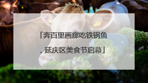 奔百里画廊吃铁锅鱼，延庆区美食节启幕