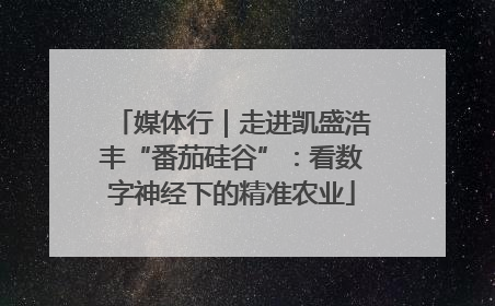 媒体行｜走进凯盛浩丰“番茄硅谷”：看数字神经下的精准农业