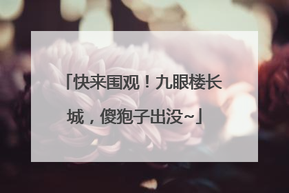 快来围观！九眼楼长城，傻狍子出没~