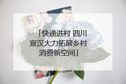 快递进村 四川宣汉大力拓展乡村消费新空间