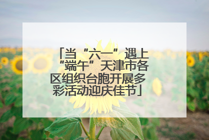 当“六一”遇上“端午”天津市各区组织台胞开展多彩活动迎庆佳节