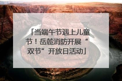当端午节遇上儿童节！岳麓消防开展“双节”开放日活动