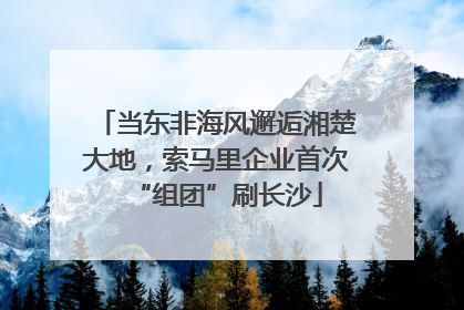 当东非海风邂逅湘楚大地，索马里企业首次“组团”刷长沙