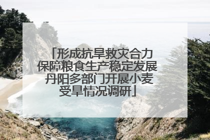 形成抗旱救灾合力 保障粮食生产稳定发展 丹阳多部门开展小麦受旱情况调研