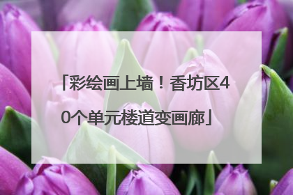 彩绘画上墙！香坊区40个单元楼道变画廊