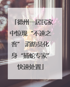 德州一居民家中惊现“不速之客” 消防员化身“捕蛇专家”快速处置