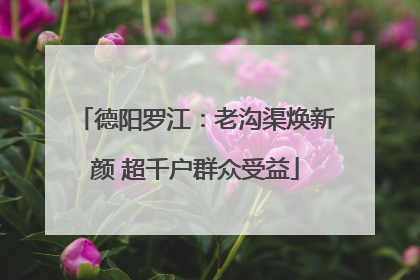 德阳罗江：老沟渠焕新颜 超千户群众受益