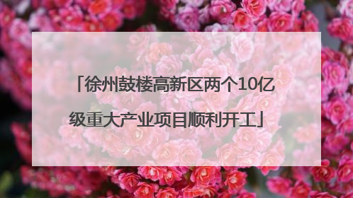 徐州鼓楼高新区两个10亿级重大产业项目顺利开工