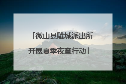 微山县驩城派出所开展夏季夜查行动