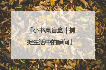 小书桌盲盒｜捕捉生活中的瞬间