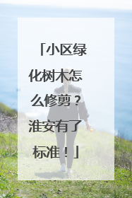 小区绿化树木怎么修剪？淮安有了标准！