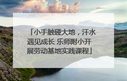 小手触碰大地，汗水遇见成长 乐师附小开展劳动基地实践课程