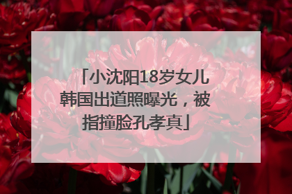 小沈阳18岁女儿韩国出道照曝光，被指撞脸孔孝真