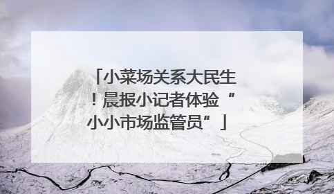 小菜场关系大民生！晨报小记者体验“小小市场监管员”