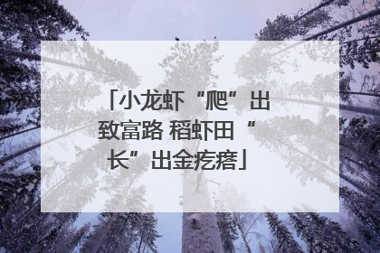 小龙虾“爬”出致富路 稻虾田“长”出金疙瘩