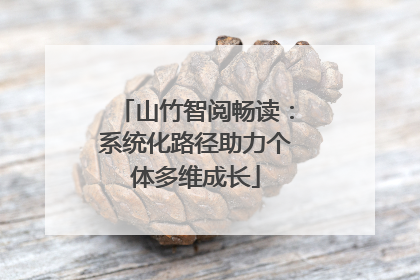 山竹智阅畅读：系统化路径助力个体多维成长