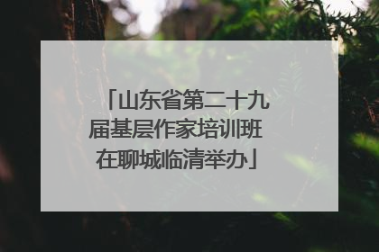 山东省第二十九届基层作家培训班在聊城临清举办
