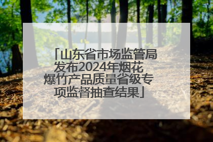 山东省市场监管局发布2024年烟花爆竹产品质量省级专项监督抽查结果