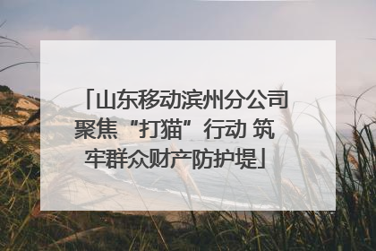 山东移动滨州分公司聚焦“打猫”行动 筑牢群众财产防护堤