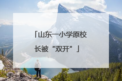 山东一小学原校长被“双开”