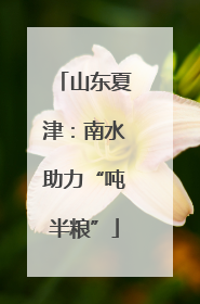 山东夏津：南水助力“吨半粮”