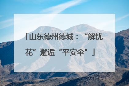 山东德州德城：“解忧花”邂逅“平安伞”