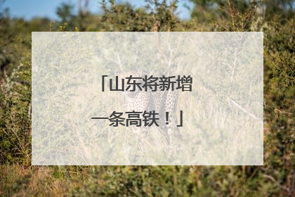 山东将新增一条高铁！