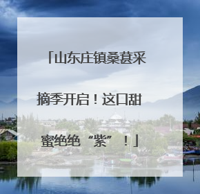 山东庄镇桑葚采摘季开启！这口甜蜜绝绝“紫”！