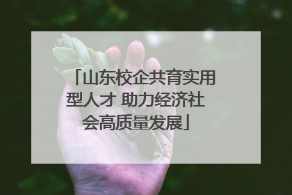 山东校企共育实用型人才 助力经济社会高质量发展