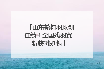 山东轮椅羽球创佳绩！全国残羽赛斩获3银1铜