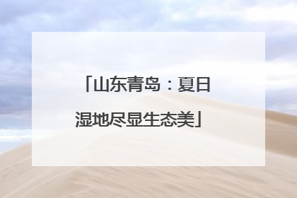 山东青岛：夏日湿地尽显生态美