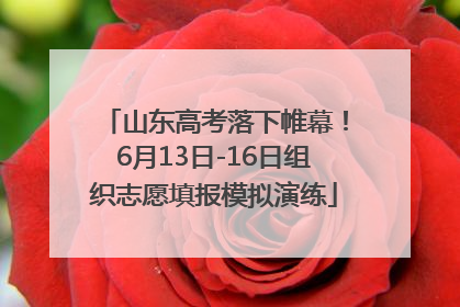 山东高考落下帷幕！6月13日-16日组织志愿填报模拟演练